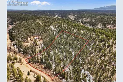 464 E Bison Creek Trail, Florissant, CO 80816 - Photo 15