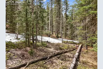 464 E Bison Creek Trail, Florissant, CO 80816 - Photo 1