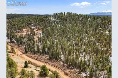 464 E Bison Creek Trail, Florissant, CO 80816 - Photo 3