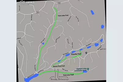 367 Cottonwood Lake Drive, Divide, CO 80814 - Photo 47