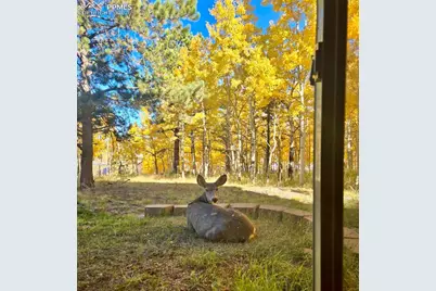 162 Ridge Top Drive, Divide, CO 80814 - Photo 39