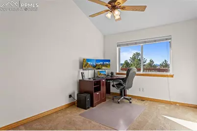 162 Ridge Top Drive, Divide, CO 80814 - Photo 21