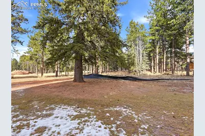 1308 Stone Ridge Drive, Woodland Park, CO 80863 - Photo 47