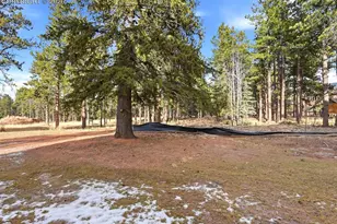 1308 Stone Ridge Dr, Woodland Park, CO 80863 - Photo 47