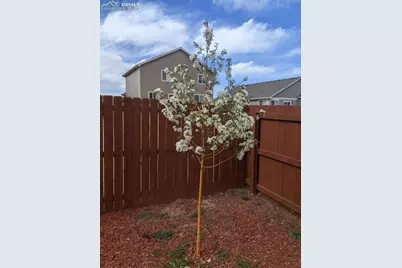 12742 Winding Glen Lane, Peyton, CO 80831 - Photo 31