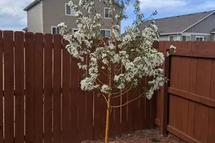 12742 Winding Glen Ln, Peyton, CO 80831 - Photo 35