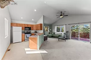 215 Southpark Rd, Florissant, CO 80816 - Photo 5