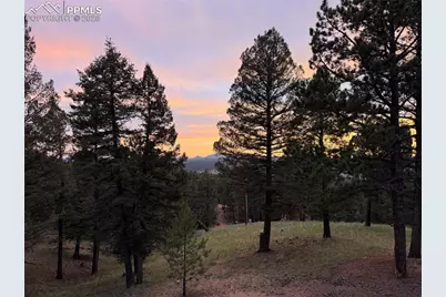 215 Southpark Road, Florissant, CO 80816 - Photo 39