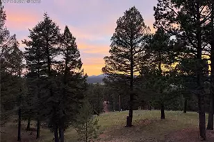 215 Southpark Rd, Florissant, CO 80816 - Photo 39