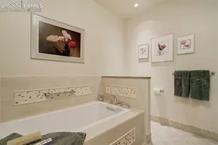 14250 Aiken Ride View, Colorado Springs, CO 80926 - Photo 41