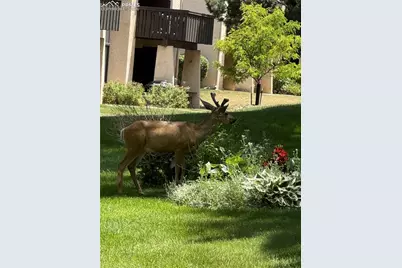 3103 Broadmoor Valley Road ##A, Colorado Springs, CO 80906 - Photo 15