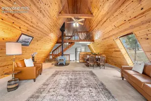 873 Trail Creek Rd, Lake George, CO 80827 - Photo 11