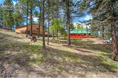 873 Trail Creek Road, Lake George, CO 80827 - Photo 21