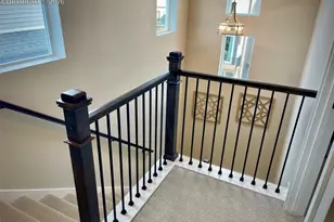 3527 Summer Dream Ave, Colorado Springs, CO 80922 - Photo 25