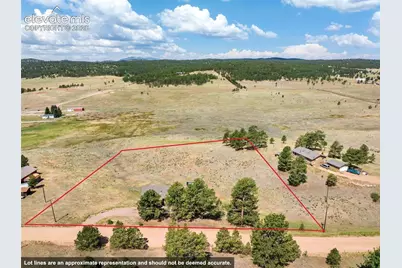 351 High Pasture Road, Florissant, CO 80816 - Photo 33