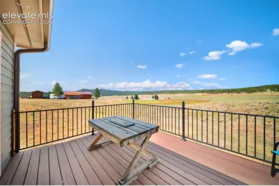 351 High Pasture Road, Florissant, CO 80816 - Photo 25