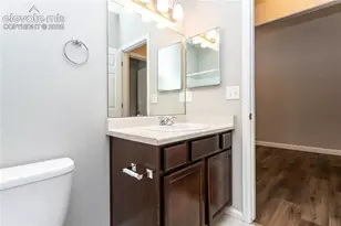 7489 Alpine Daisy Dr, Colorado Springs, CO 80925 - Photo 37