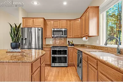 1669 Goldpeak Court, Colorado Springs, CO 80921 - Photo 15