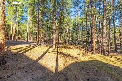 1669 Goldpeak Court, Colorado Springs, CO 80921 - Photo 37