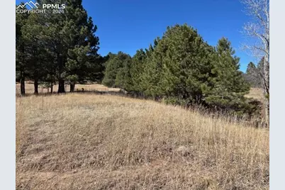 3560 Range View Road, Monument, CO 80132 - Photo 3