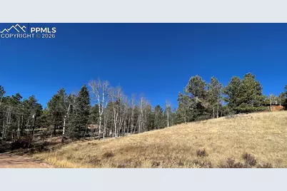 3090 N Mountain Estates Road, Florissant, CO 80816 - Photo 3