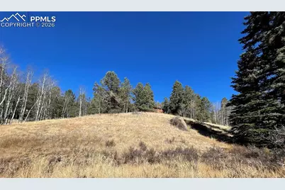 3090 N Mountain Estates Road, Florissant, CO 80816 - Photo 1