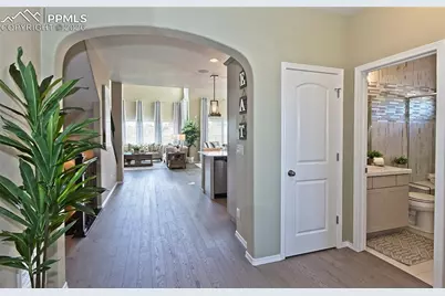 6562 Miro Lane, Colorado Springs, CO 80924 - Photo 3