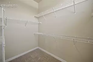13105 Cake Bread Heights, Colorado Springs, CO 80921 - Photo 19