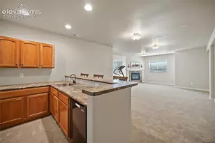 13105 Cake Bread Heights, Colorado Springs, CO 80921 - Photo 25