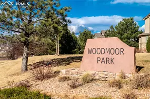 1316 Walters Point, Monument, CO 80132 - Photo 33