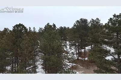 210 Rhyolite Lane, Florissant, CO 80816 - Photo 5