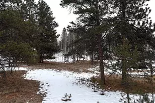 210 Rhyolite Ln, Florissant, CO 80816 - Photo 1