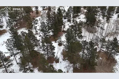 210 Rhyolite Lane, Florissant, CO 80816 - Photo 13