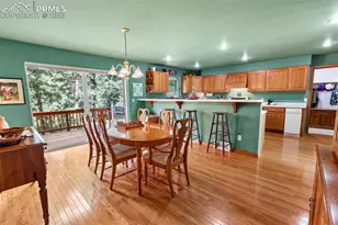 938 Spring Valley Ln, Florissant, CO 80816 - Photo 9