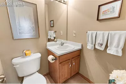 938 Spring Valley Lane, Florissant, CO 80816 - Photo 11