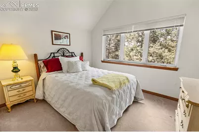 938 Spring Valley Lane, Florissant, CO 80816 - Photo 17