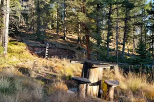 516 Saguache Dr, Florissant, CO 80816 - Photo 37