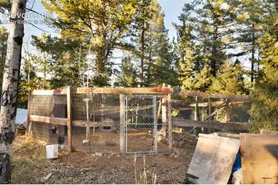 516 Saguache Drive, Florissant, CO 80816 - Photo 41