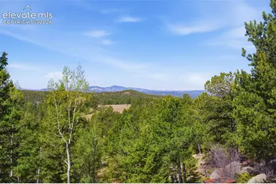 516 Saguache Drive, Florissant, CO 80816 - Photo 21