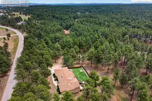155 Pontiac Loop, Monument, CO 80132 - Photo 45