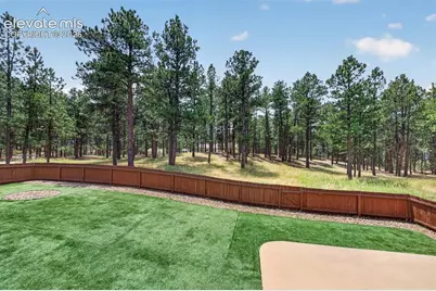 155 Pontiac Loop, Monument, CO 80132 - Photo 37