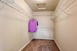 7494 Araia Dr, Fountain, CO 80817 - Photo 27