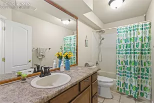 12235 Big Cypress Dr, Peyton, CO 80831 - Photo 31