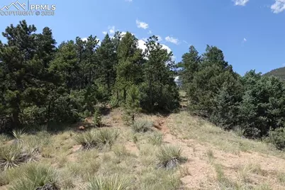 292 Sugarloaf Road, Manitou Springs, CO 80829 - Photo 5