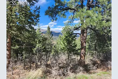 292 Sugarloaf Road, Manitou Springs, CO 80829 - Photo 3