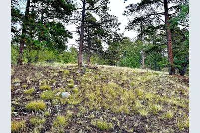 908 Penrose Circle, Cripple Creek, CO 80813 - Photo 13