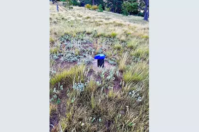 908 Penrose Circle, Cripple Creek, CO 80813 - Photo 15