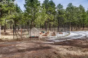 15430 Bar X Rd, Colorado Springs, CO 80908 - Photo 47