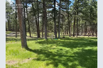 15430 Bar X Road, Colorado Springs, CO 80908 - Photo 43