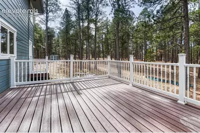 15430 Bar X Road, Colorado Springs, CO 80908 - Photo 19